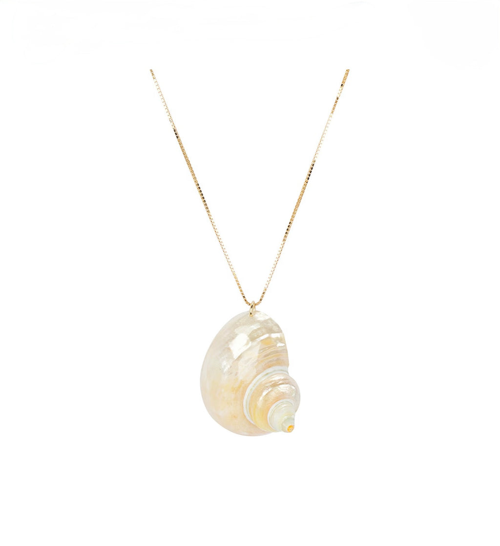 Seashell pendant necklace